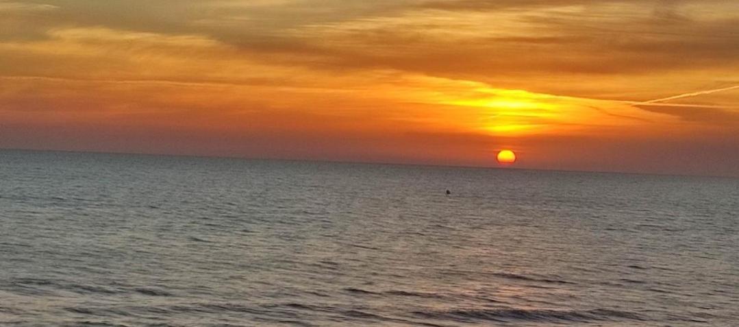 Apartamento Entero Primera Linea De Playa, Pet Friendly Tavernes de Valldigna Eksteriør billede